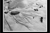 aa_or_coast_020406_037bw_11_14f.jpg